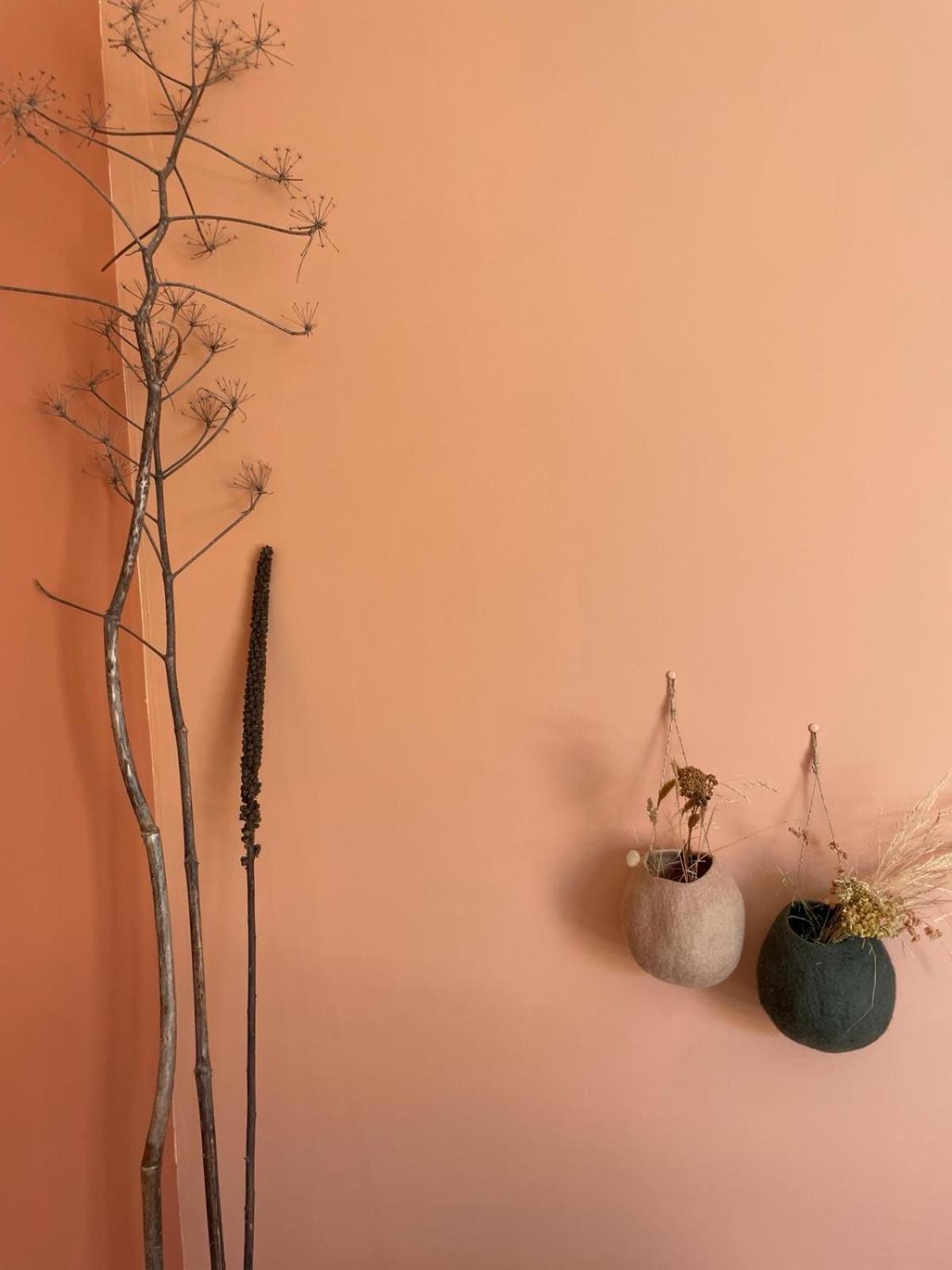 Les Petites Maisons Sotta Luaran gambar